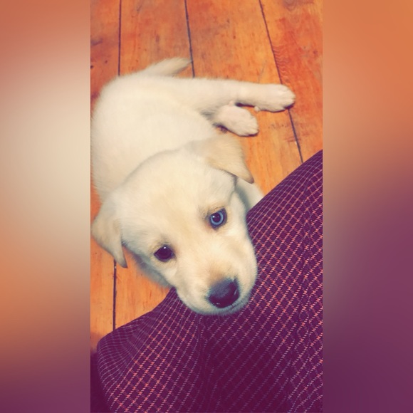 Meet your Posher, Celena - Picture 6 of 9